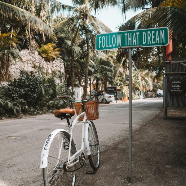 alex-azabache-V83v-MYB_Z8-unsplash alex-azabache-V83v-MYB_Z8-unsplash